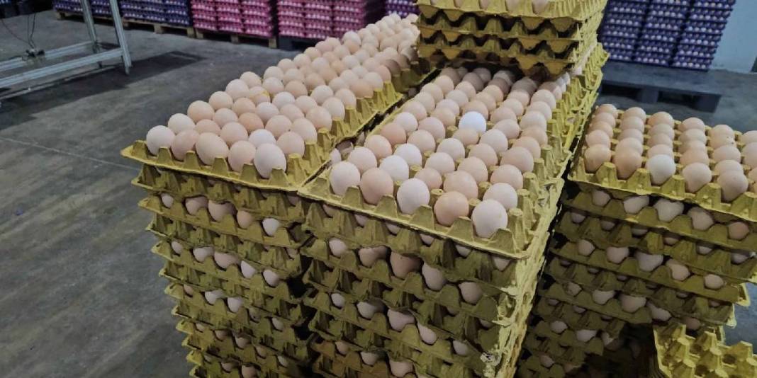 Devlet desteğiyle kurdu, AB standartlarıyla üretime başladı! Talep de üretim de artıyor: Birçok ilin ihtiyacını karşılıyor 7